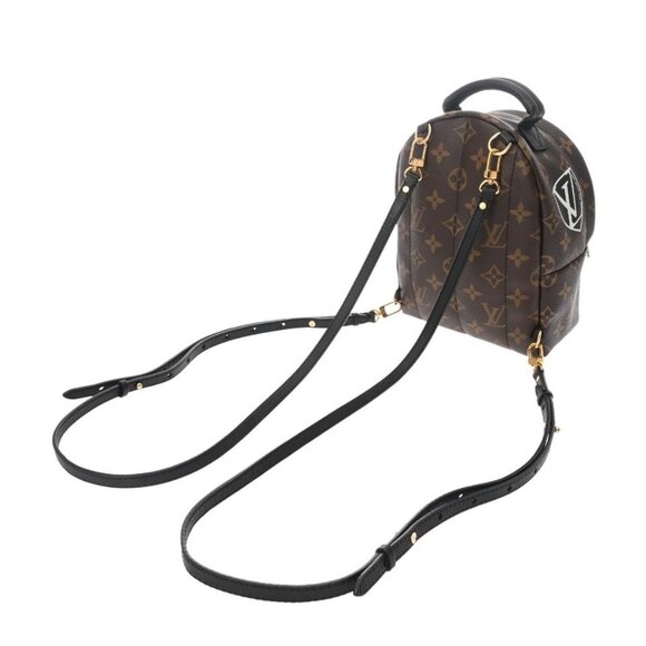 LOUIS VUITTON Monogram Palm Springs Backpack World Tour - Picture 6 of 15